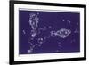 Pisces-Roberta Norton-Framed Photographic Print