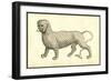 Piscis Leonini Effigies-Ulisse Aldrovandi-Framed Premium Giclee Print