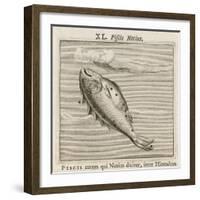 Piscis Notius-Gaius Julius Hyginus-Framed Art Print