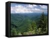 Pisgah National Forest, North Carolina, USA-Adam Jones-Framed Stretched Canvas