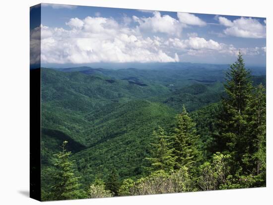 Pisgah National Forest, North Carolina, USA-Adam Jones-Stretched Canvas