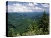 Pisgah National Forest, North Carolina, USA-Adam Jones-Stretched Canvas