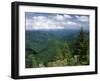 Pisgah National Forest, North Carolina, USA-Adam Jones-Framed Premium Photographic Print