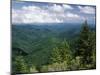 Pisgah National Forest, North Carolina, USA-Adam Jones-Mounted Premium Photographic Print