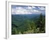 Pisgah National Forest, North Carolina, USA-Adam Jones-Framed Photographic Print