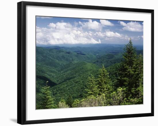 Pisgah National Forest, North Carolina, USA-Adam Jones-Framed Photographic Print