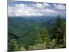 Pisgah National Forest, North Carolina, USA-Adam Jones-Mounted Photographic Print