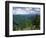 Pisgah National Forest, North Carolina, USA-Adam Jones-Framed Photographic Print