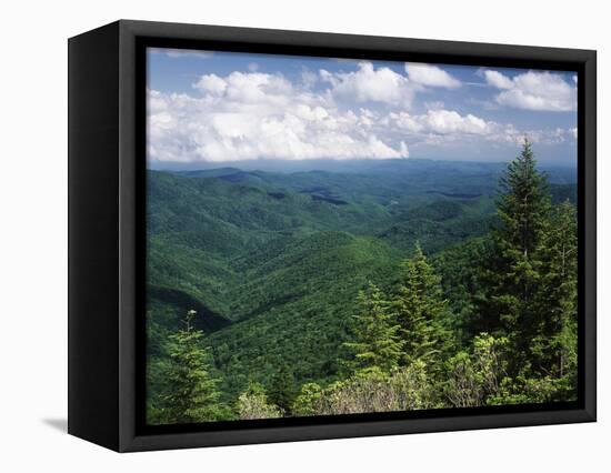 Pisgah National Forest, North Carolina, USA-Adam Jones-Framed Stretched Canvas