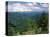 Pisgah National Forest, North Carolina, USA-Adam Jones-Stretched Canvas