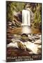 Pisgah National Forest - North Carolina-null-Mounted Poster