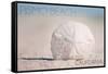 Pismo Beach, California - Sand Dollar and Beach-Lantern Press-Framed Stretched Canvas