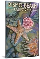 Pismo Beach, California - Tidepool-Lantern Press-Mounted Art Print