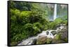 Piso Waterfall Outside Berestagi, Sumatra, Indonesia, Southeast Asia, Asia-John Alexander-Framed Stretched Canvas