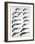 Pistols and Revolvers-null-Framed Giclee Print