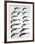 Pistols and Revolvers-null-Framed Giclee Print