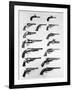 Pistols and Revolvers-null-Framed Giclee Print