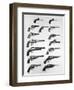 Pistols and Revolvers-null-Framed Giclee Print