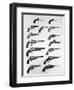 Pistols and Revolvers-null-Framed Giclee Print