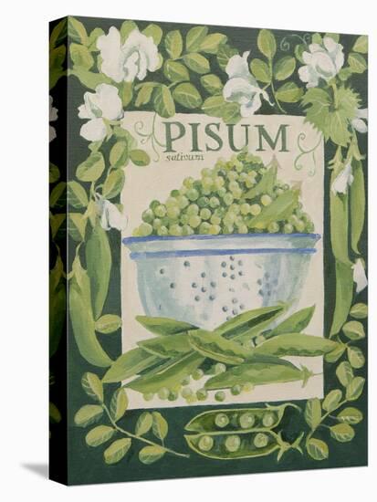 Pisum, Peas-Jennifer Abbott-Stretched Canvas