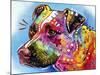 Pit Bull 1059-Dean Russo-Mounted Giclee Print