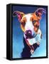 Pit Bull - Bentley-Dawgart-Framed Stretched Canvas