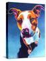 Pit Bull - Bentley-Dawgart-Stretched Canvas