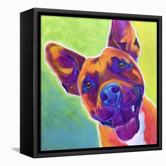 Pit Bull - Billy-Dawgart-Framed Stretched Canvas