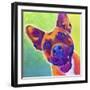 Pit Bull - Billy-Dawgart-Framed Giclee Print