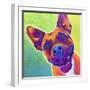 Pit Bull - Billy-Dawgart-Framed Giclee Print