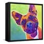 Pit Bull - Billy-Dawgart-Framed Stretched Canvas