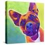 Pit Bull - Billy-Dawgart-Stretched Canvas