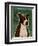 Pit Bull (Brindle)-John W Golden-Framed Giclee Print