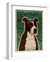 Pit Bull (Brindle)-John W Golden-Framed Giclee Print