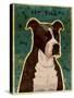 Pit Bull (Brindle)-John W Golden-Stretched Canvas