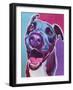 Pit Bull - Candy-Dawgart-Framed Giclee Print