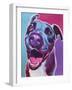 Pit Bull - Candy-Dawgart-Framed Giclee Print