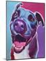 Pit Bull - Candy-Dawgart-Mounted Giclee Print