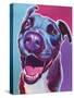 Pit Bull - Candy-Dawgart-Stretched Canvas