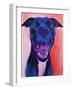 Pit Bull - Crysanthemum-Dawgart-Framed Giclee Print