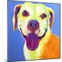 Pit Bull - Daisy-Dawgart-Mounted Giclee Print