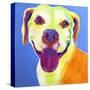 Pit Bull - Daisy-Dawgart-Stretched Canvas