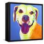 Pit Bull - Daisy-Dawgart-Framed Stretched Canvas