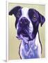 Pit Bull - David-Dawgart-Framed Premium Giclee Print