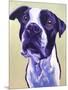 Pit Bull - David-Dawgart-Mounted Premium Giclee Print