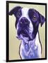 Pit Bull - David-Dawgart-Framed Premium Giclee Print