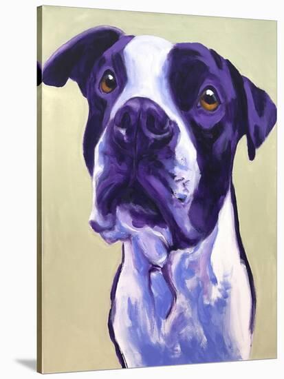 Pit Bull - David-Dawgart-Stretched Canvas