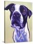 Pit Bull - David-Dawgart-Stretched Canvas