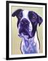 Pit Bull - David-Dawgart-Framed Giclee Print