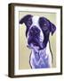Pit Bull - David-Dawgart-Framed Giclee Print
